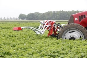 Variabel doseren fungiciden in aardappelen en/of bloembollen