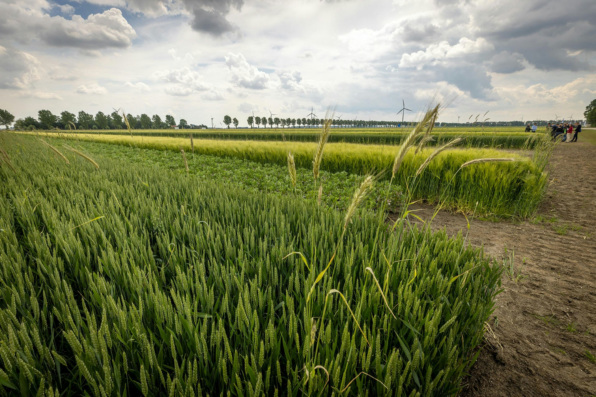 Praat Mee Over De Landbouw Van 2050 - Precisielandbouw Voor Alle Telers